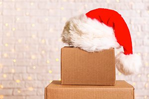 4 Tips for Moving During the Holiday Season