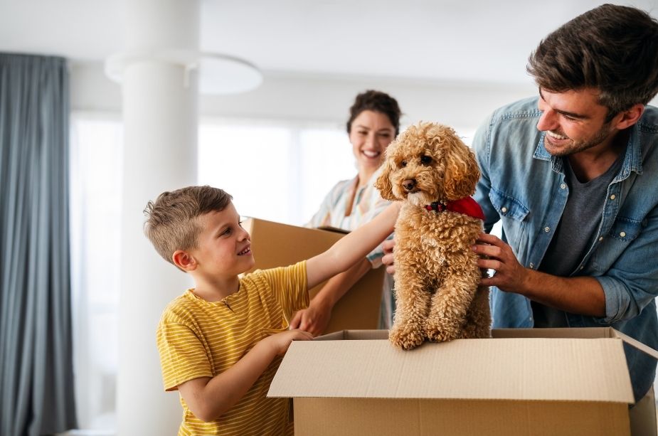 3 Tips When Moving with Your Pets - Nilson Van and Storage