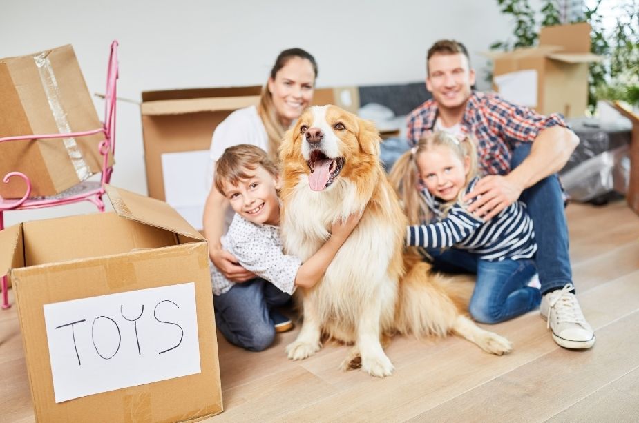 3 Tips for Moving with Pets - Nilson Van and Storage