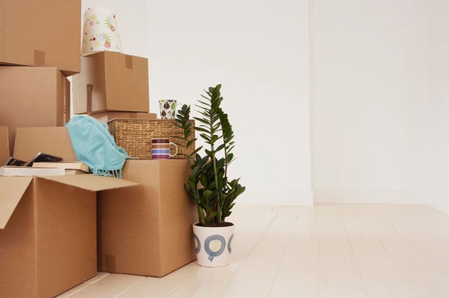 4 Easy Ways to Keep Your Budget in Check during Your Move