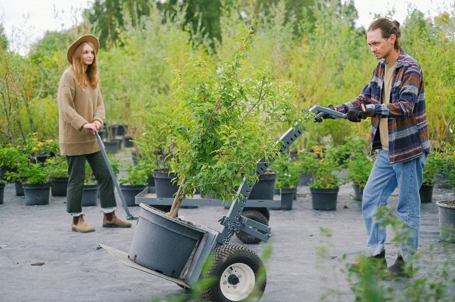 5 Tips for Moving Plants and Garden Vegetables