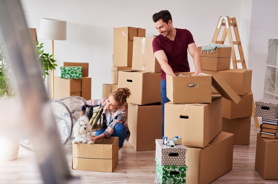 Will a Moving Company Move My Plants, Food, and Pets? - Nilson Van and Storage