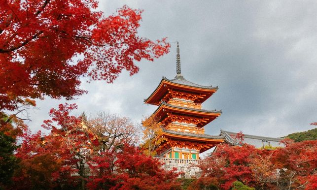 Moving to Japan - Nilson Van and Storage